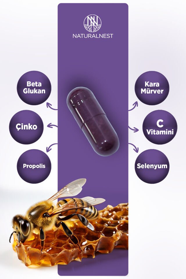 STD Immy Sambucus 20 Kapsül ( TEKLİDİR ) 8697595877340_1